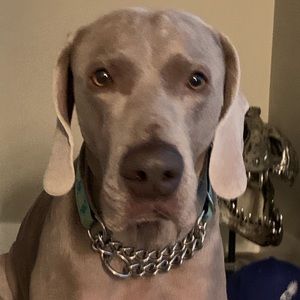 Meet your Posher, Kristina